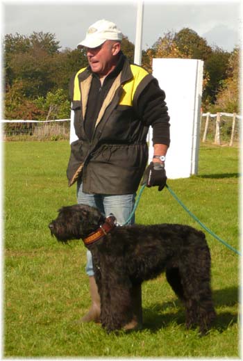 Elevage du CLOS DE LA LUETTE - COPYRIGHT DEPOSE